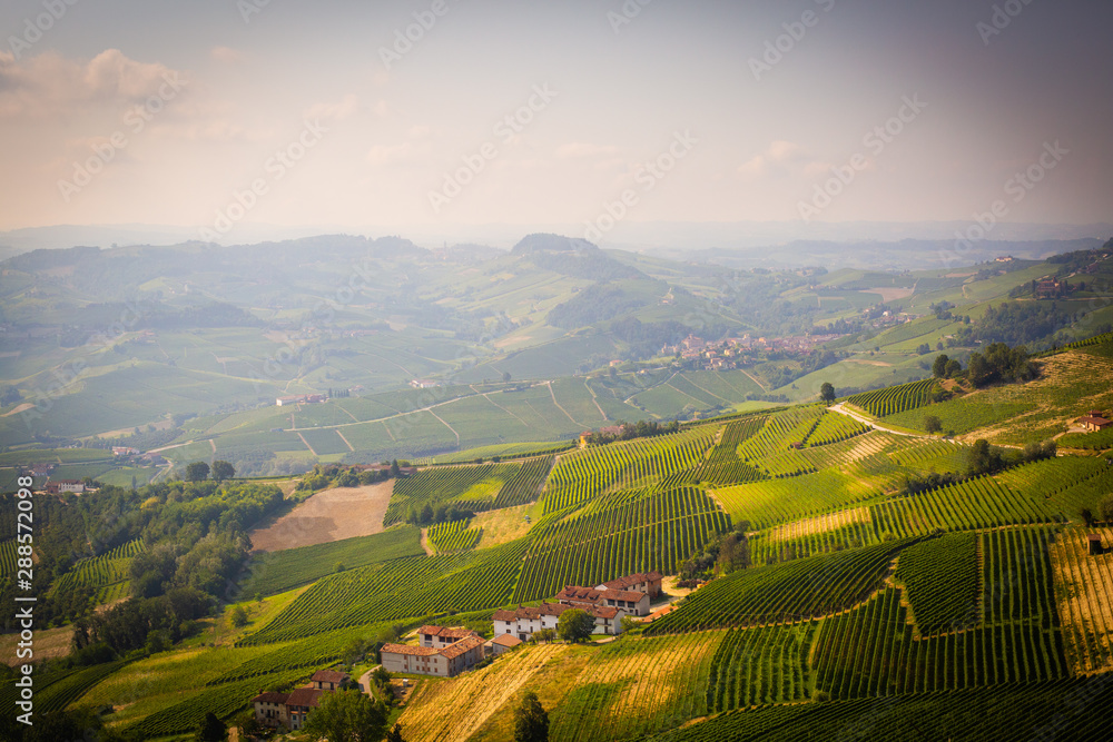 Wine country in northern Italy with vineyards