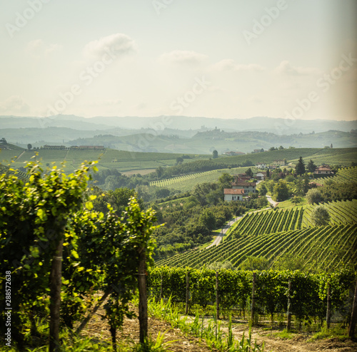 Wine country in northern Italy with vineyards