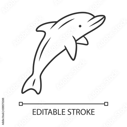 Dolphin linear icon. Undersea world. High intelligent water creature. Marine fauna. Entertainment dolphin show. Thin line illustration. Contour symbol. Vector isolated outline drawing. Editable stroke