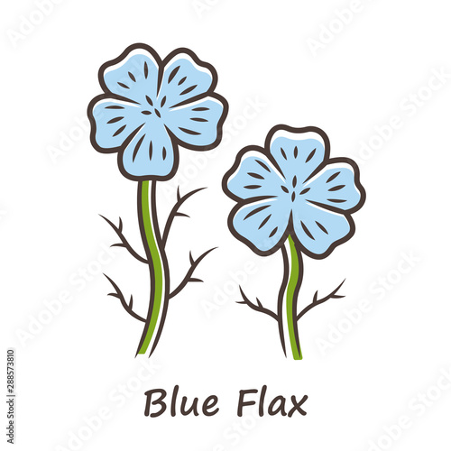 Blue flax plant color icon. Linen wild flower with name inscription. Spring blossom. Blooming linum wildflower inflorescence. Isolated vector illustration