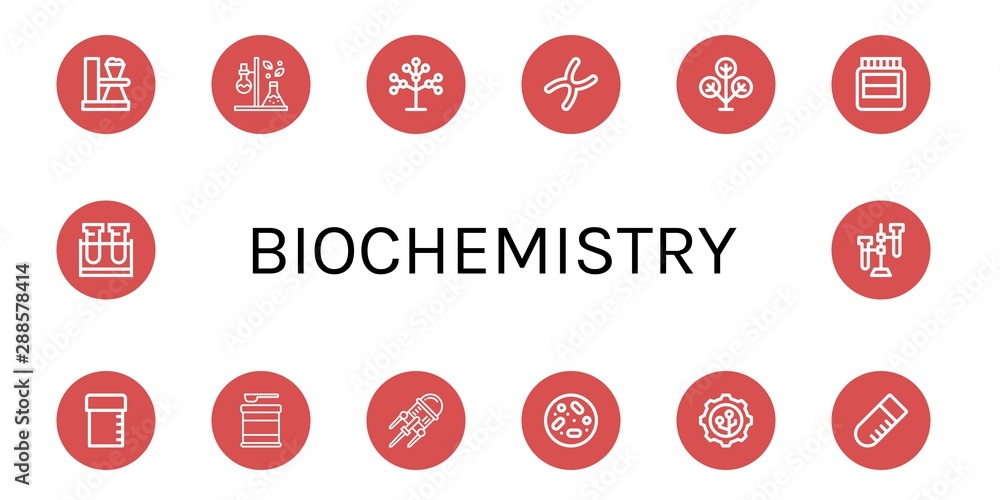 Set of biochemistry icons such as Test tube, Phylogenetics, Chromosome, Phylogenetic, Hormones, Sample tube, Formula, Nanotechnology, Petri dish , biochemistry Set of biochemistry icons such as Test tube, Phylogenetics, Chromosome, Phylogenetic, Hormones, Sample tube, Formula, Nanotechnology, Petri dish , biochemistry