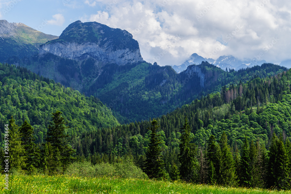 Belianske Tatras mountains in summer, Slovakia