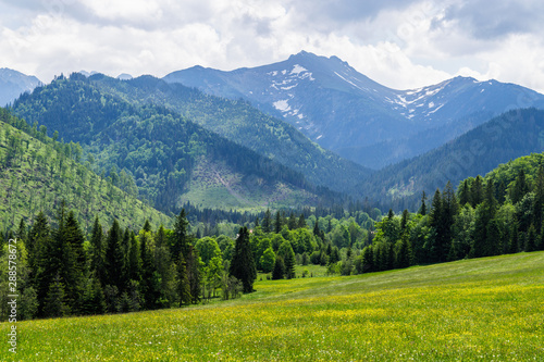Belianske Tatras mountains in summer, Slovakia