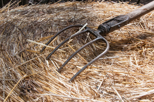 hay with fork