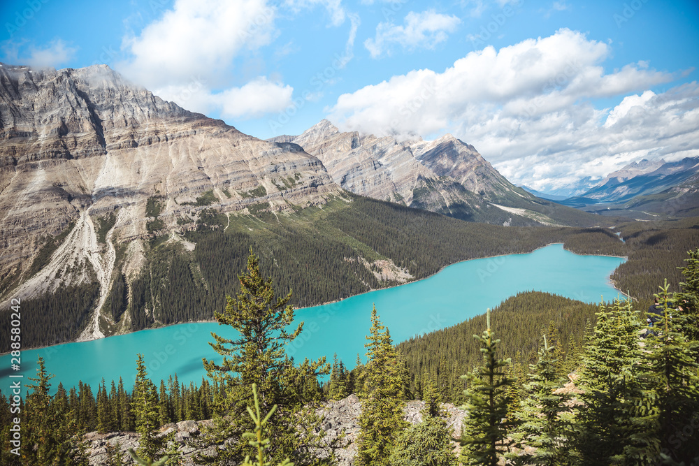 Turquoise green waters of Peyto Lake, Banff National Park, Alberta, Canada