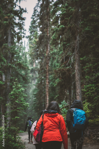 Women hiking through a forest in bright jackets © Amy