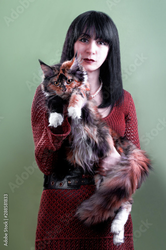 Red and white maine coon kitten in arms of girl on green background.