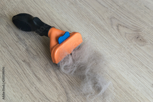 Fényképezés The comb of pet slicker brush with cat fur clump after grooming