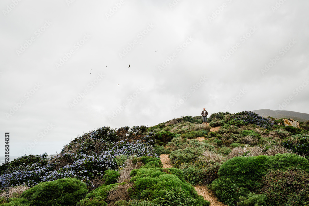 Pathway in the mountains with green brush, a man and flying birds