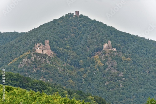 Frankreich - Elsass - Ulrichsburg & Burg Hohrappoltstein & Burg Girsberg photo