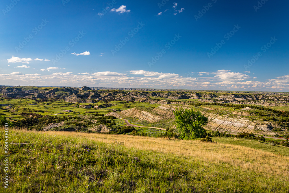 Obraz premium North Dakota Badlands