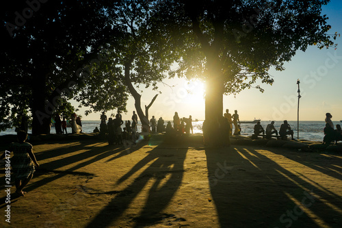 sunset in the park