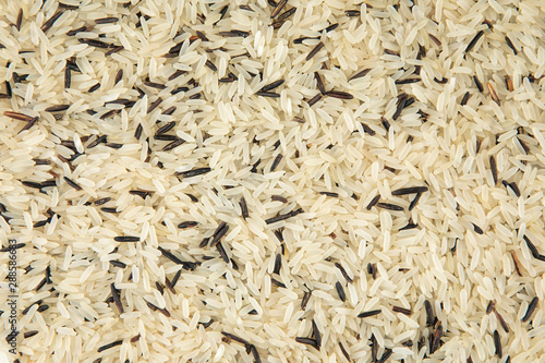 Canvas Print Basmati rice white photo background