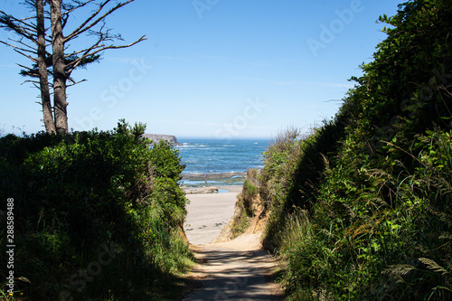 Fototapeta Naklejka Na Ścianę i Meble -  Trail to the beach 