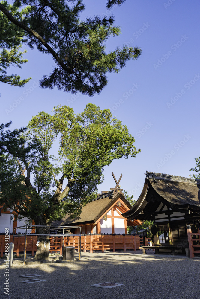 Obraz premium 日本の神社