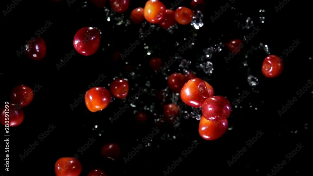 Cherry with water bouncing against to the camera on a black background in slow motion super close-up Cherry with water bouncing against to the camera on a black background in slow motion super close-up