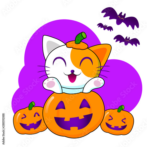 Happy cat come up from halloween pumpkin, for pet shop mascot.