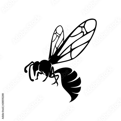 Bee logo design vector. Icon Symbol. Template Illustration