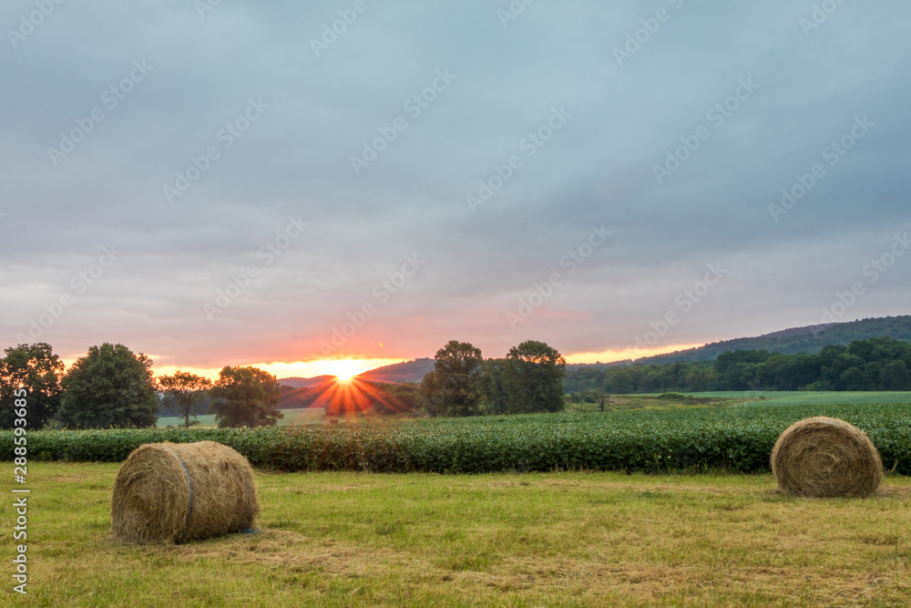 Freshly rolled bales of hay rest on a field at sunrise in Sussex County, NJ, late summer