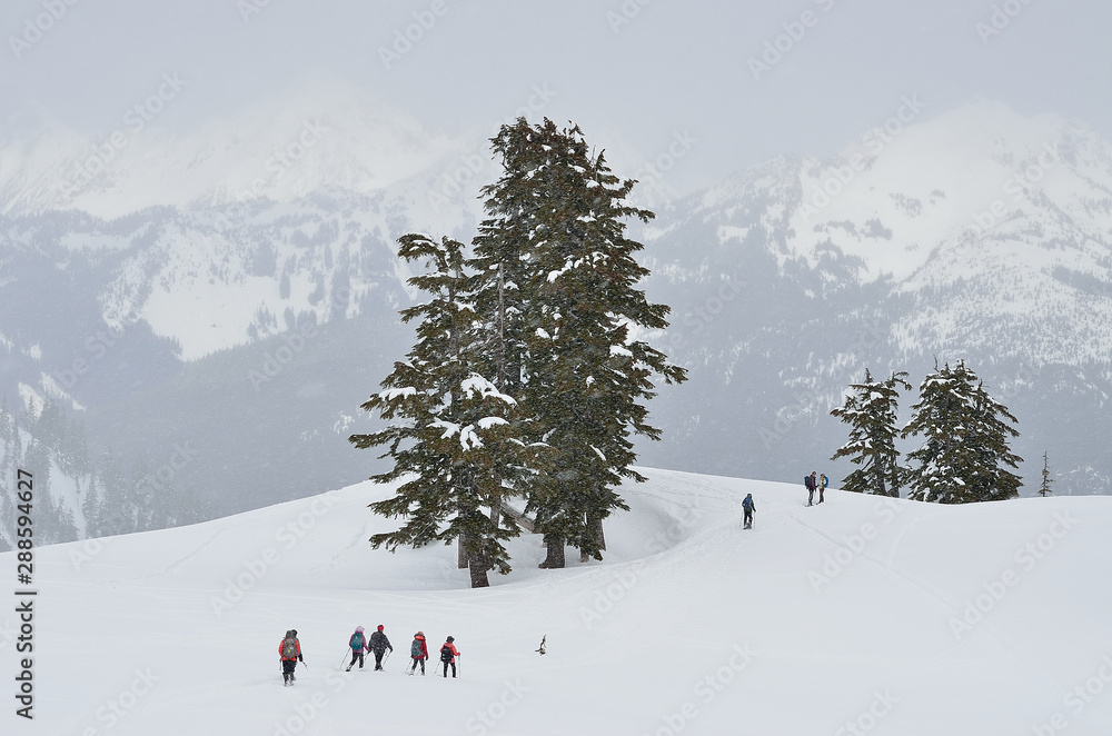 Mount Baker wilderness , WA , USA