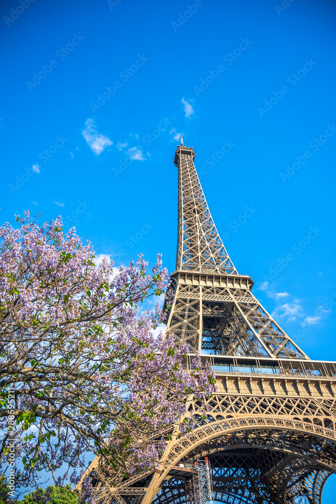 Eiffel tower and flowering tree