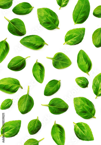 Basil leaf Pattern. Fresh green basil herb isolated on white background. Top view. Flat lay.