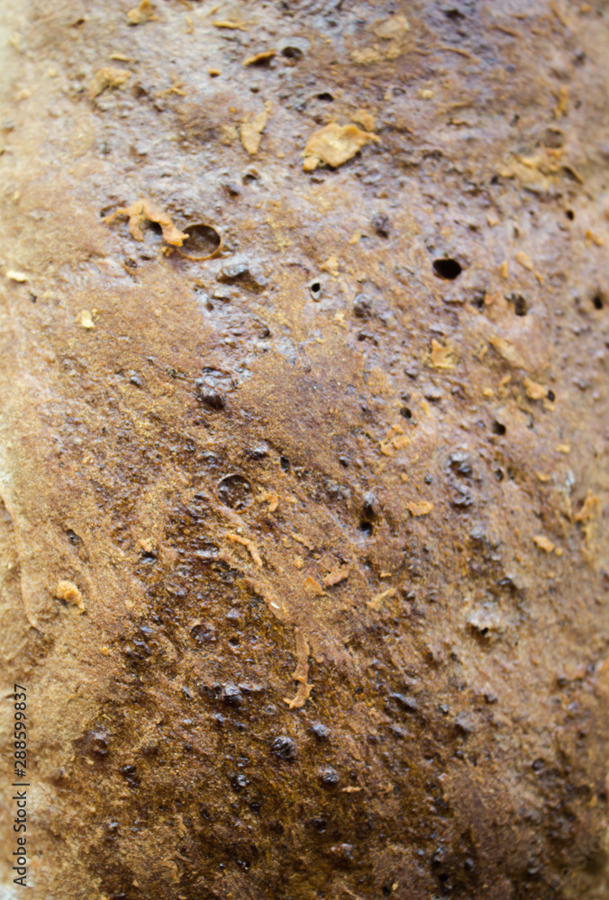A crust of bread close-up. The texture of the crust of bread. Vertical photo. View from above.