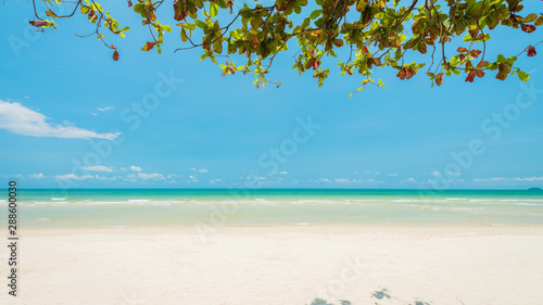 Fototapeta Naklejka Na Ścianę i Meble -  Beautiful daylight and Breathtaking tropical beach at Koh Chang Island, Wonderful tropical beach for relaxation and travel, Special white sandy at the exotic beach