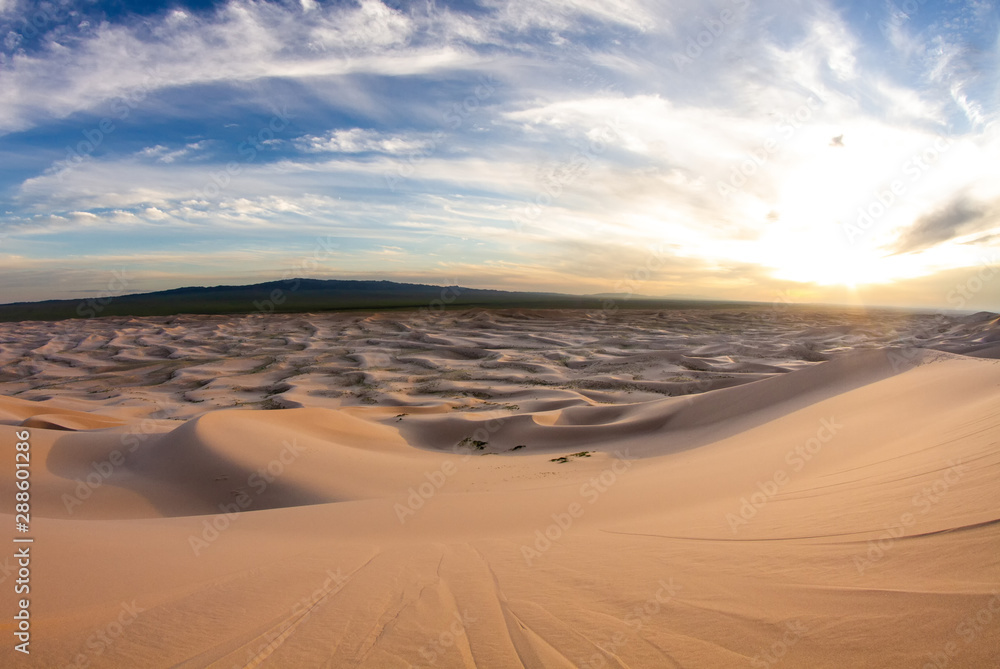 Huge dunes of the desert. Beautiful structures of sandy barkhans. Fine place for photographers and travelers. Mongolia.