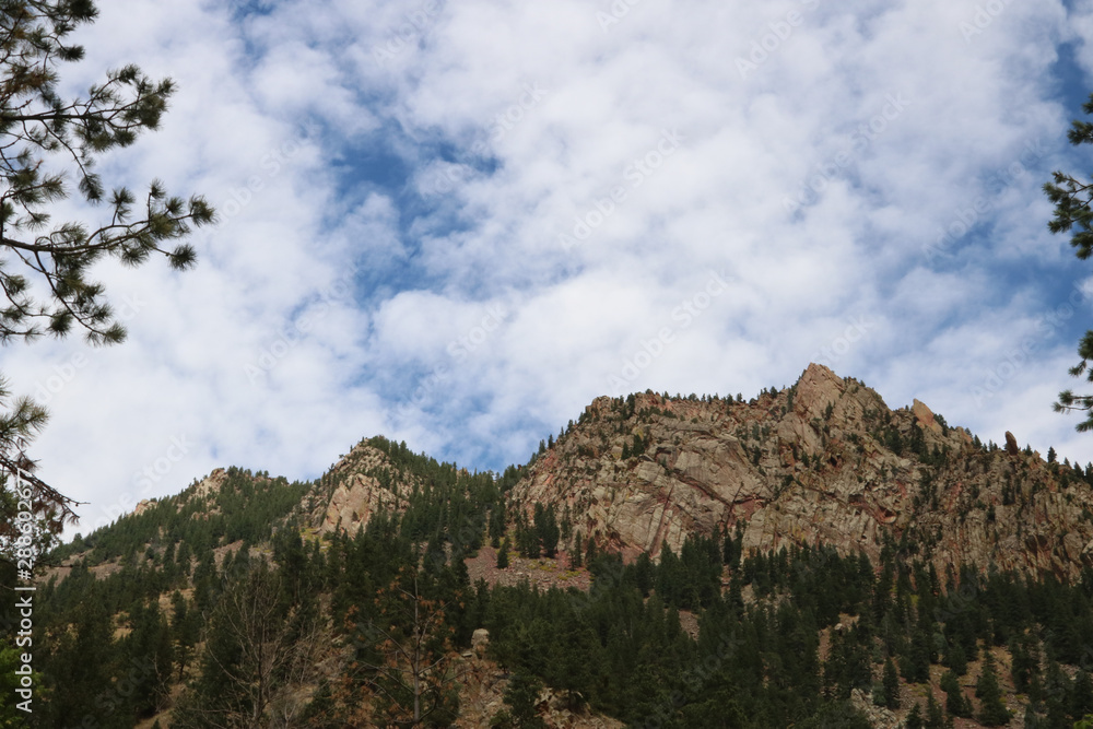 Rocky mountains framed by trees against cloudy blue sky Rocky mountains framed by trees against cloudy blue sky