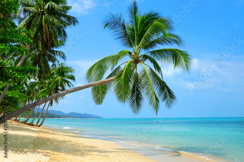 Fototapeta Naklejka Na Ścianę i Meble -  Empty paradise beach, blue sea waves in island. Beautiful tropical island. Holiday and vacation concept.