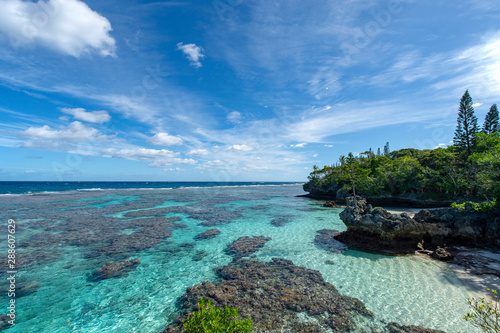 ニューカレドニア ロイヤルティ諸島 マレ島 タディーン海岸のサンゴ礁