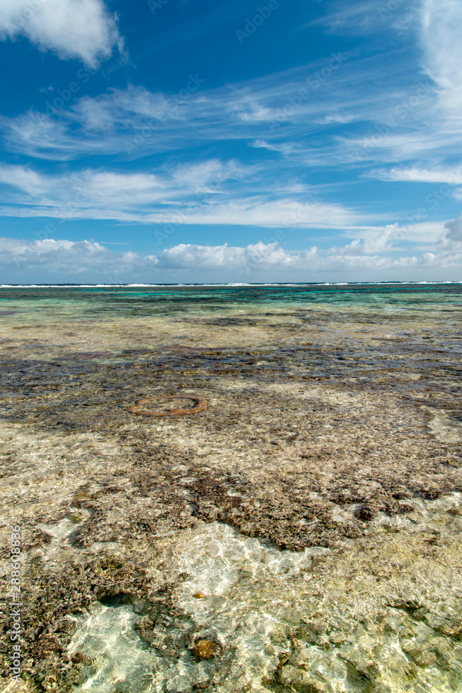 Φωτογραφία ニューカレドニア ロイヤルティ諸島　マレ島　タディーン海岸のサンゴ礁