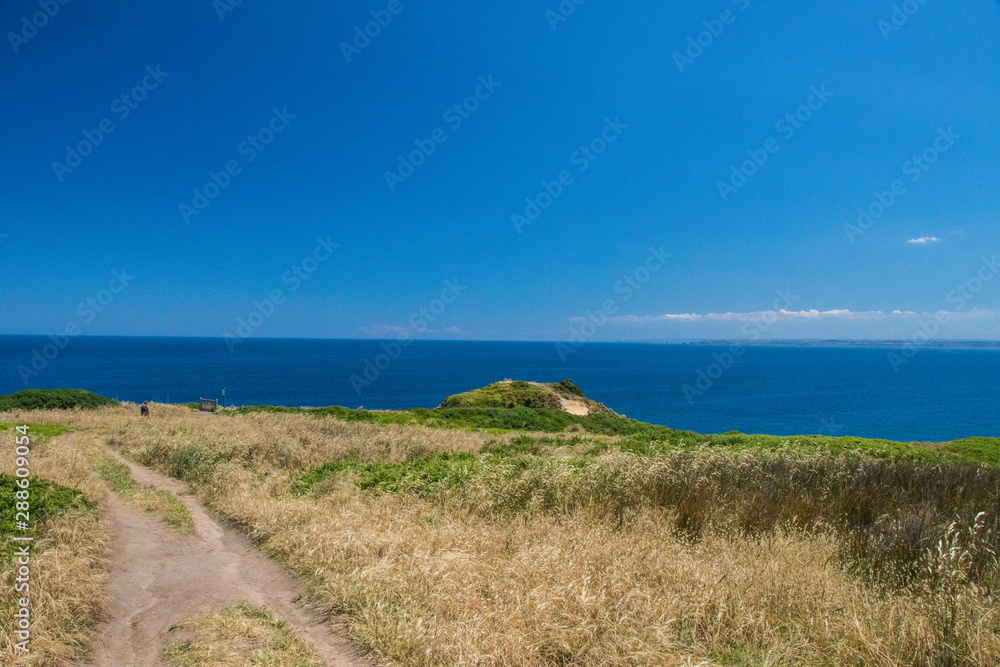 Hiking Track at Phillip Island on a sunny day Hiking Track at Phillip Island on a sunny day