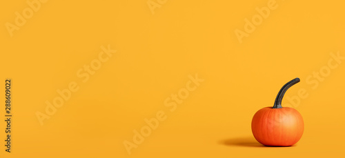 Cuadro en lienzo Halloween pumpkin on orange