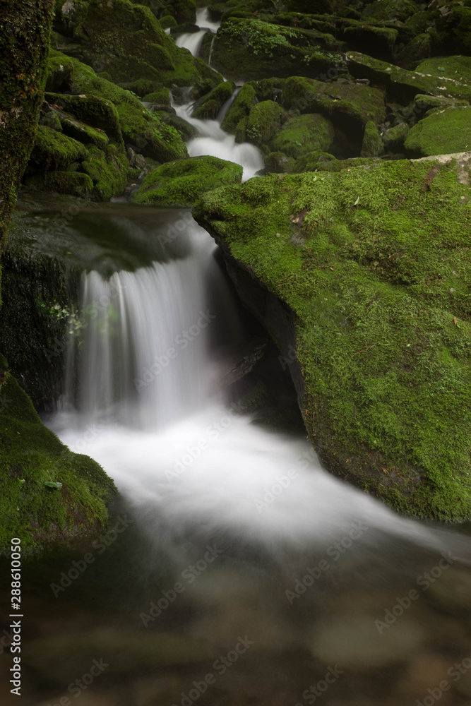 Fototapeta premium Dolina Mchu