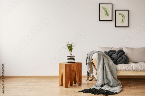 End table with fresh plant placed by the sofa with handmade cushion and blanket in real photo with empty place for your rack