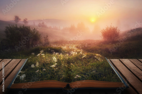 open fairytale magical book. amazing  view with foggy trees on horizon on sunrise. autumn landscape. beautiful natural background photo
