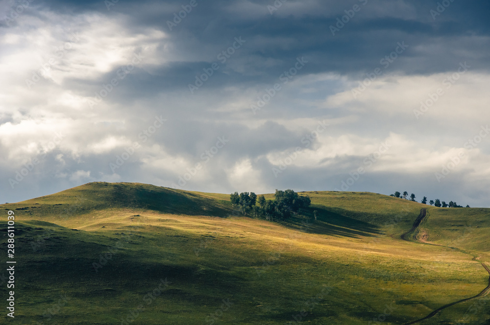 Obraz premium Grass hills covered with trees in steppe under spectacular clouds sky during sunset at Khakassia, Siberia, Russia.