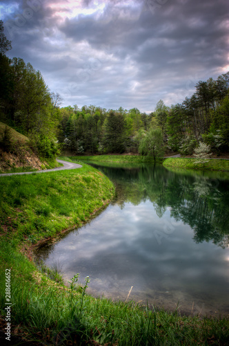 River flowing though a forest at dawn