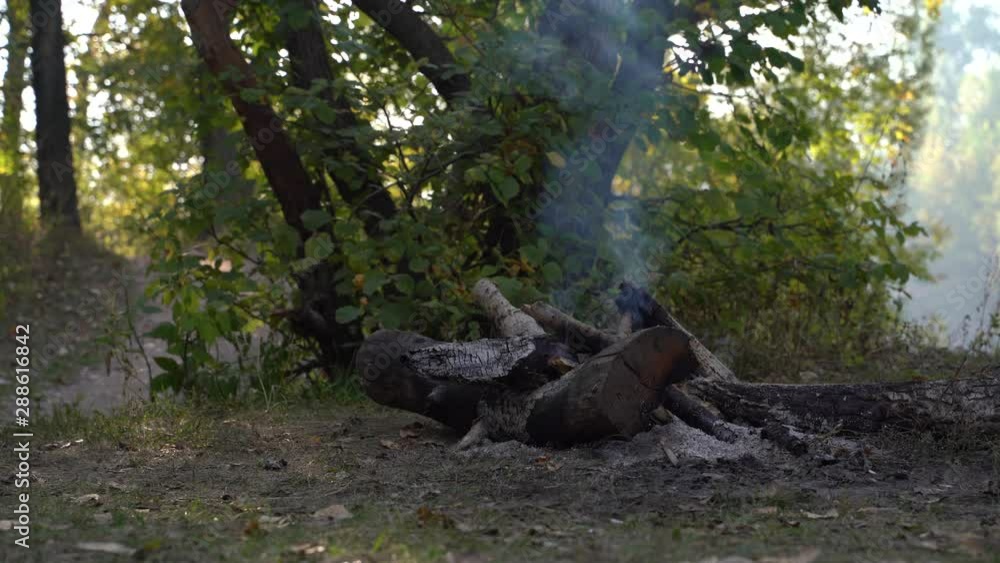 Campfire on the beach in the summer evening. Bonfire in nature as a background. Campfire on the beach in the summer evening. Bonfire in nature as a background.