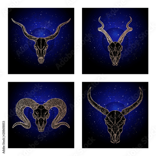 Vector set of four illustrations with hand drawn dark skulls antelopes, buffalo and ram against the background of the starry sky.