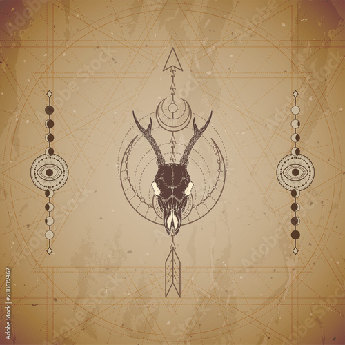 Vector illustration with hand drawn roe deer skull and Sacred geometric symbol on vintage paper background. Abstract mystic sign.