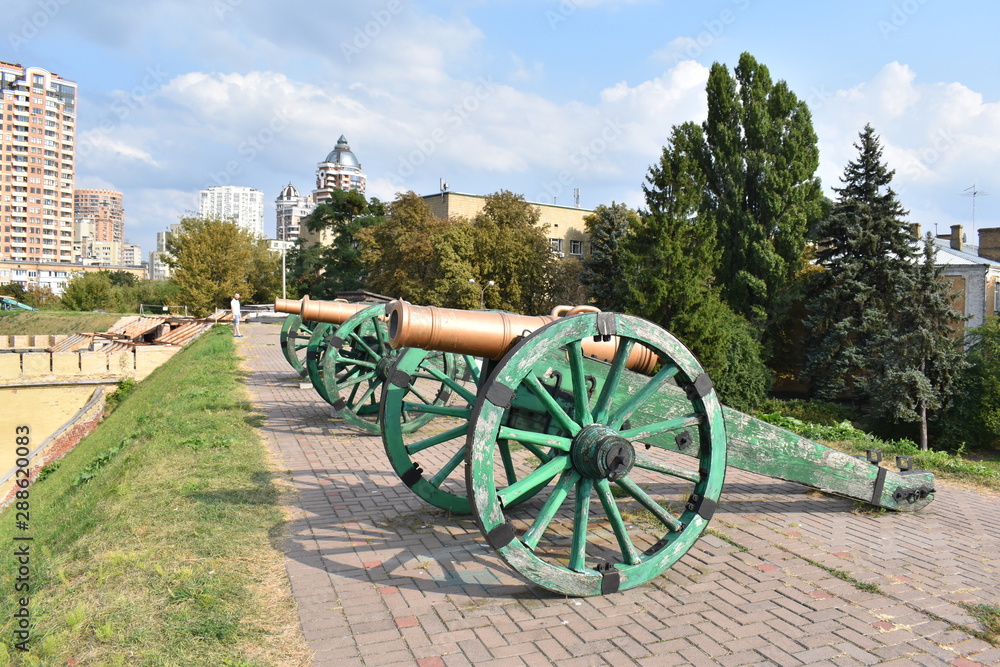 cannons in front of castle