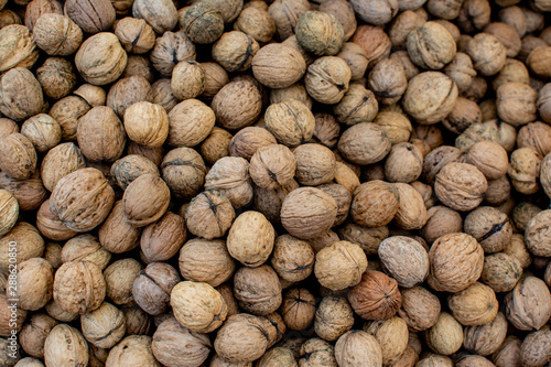 Heap of walnuts in shell