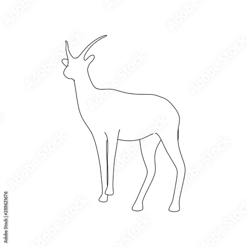 Gazzelle Isolated Line