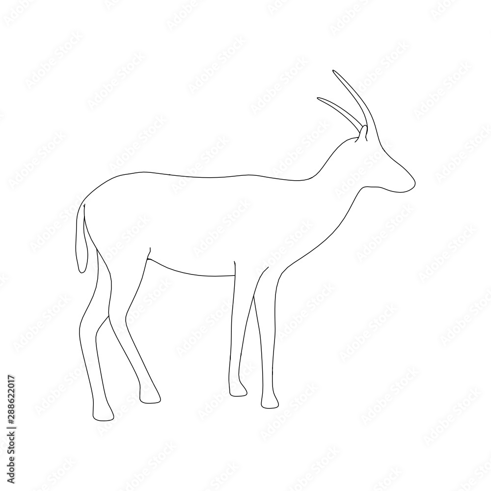 Obraz premium Gazzelle Isolated Phose