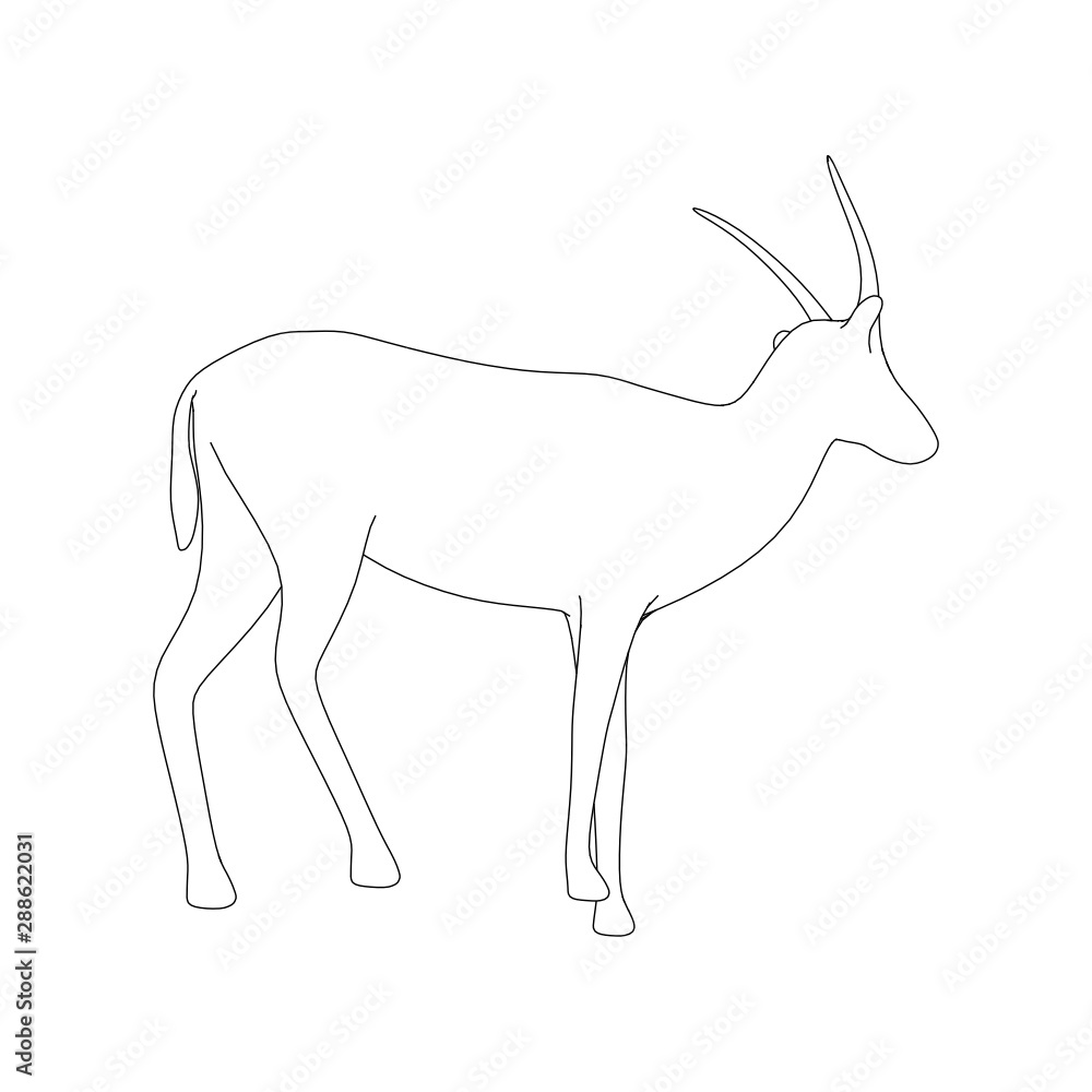 Obraz premium Gazzelle Isolated Phose