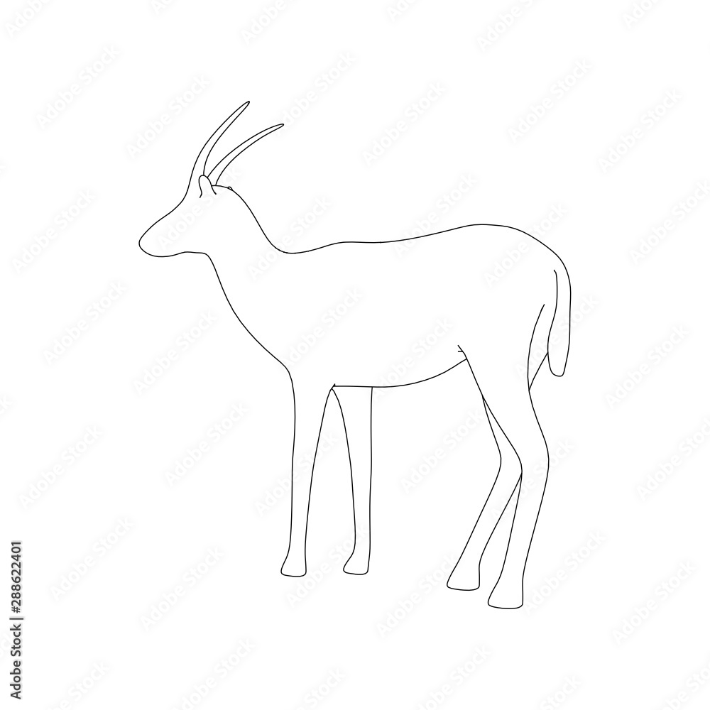 Obraz premium Gazzelle Isolated Pose Line