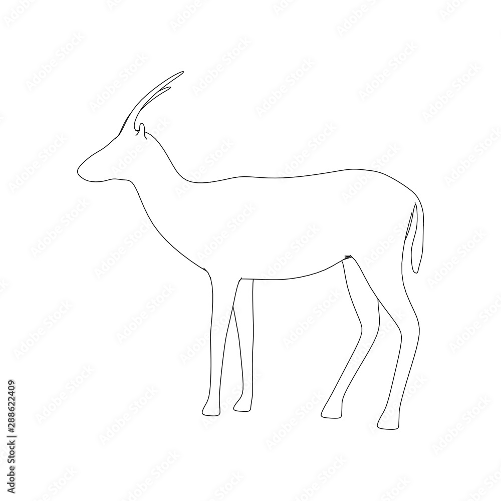 Obraz premium Gazzelle Isolated Pose Line